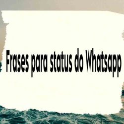 Frases para status do Whatsapp